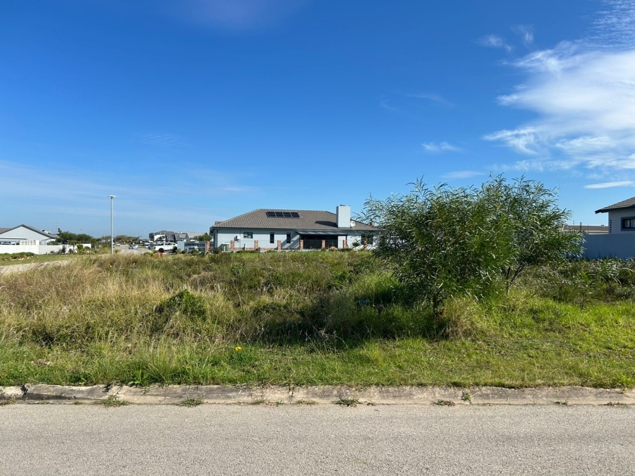 0 Bedroom Property for Sale in Fountains Estate Eastern Cape